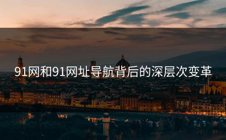 91网和91网址导航背后的深层次变革