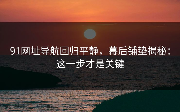 91网址导航回归平静，幕后铺垫揭秘：这一步才是关键