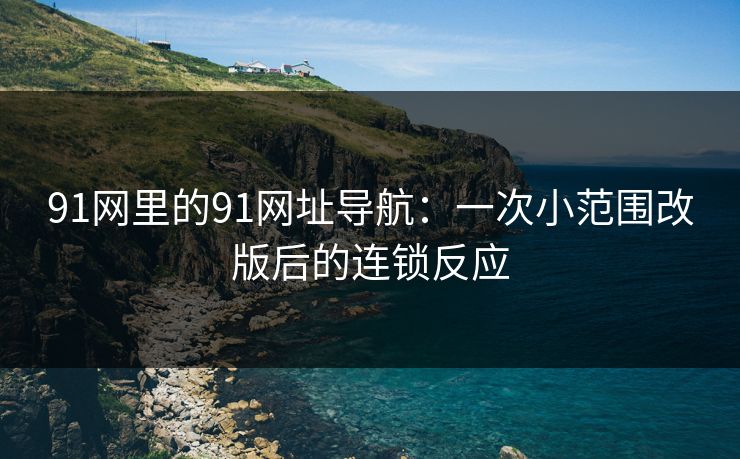 91网里的91网址导航：一次小范围改版后的连锁反应