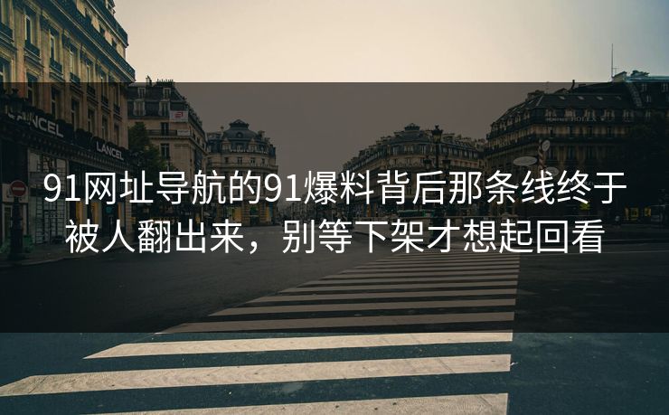 91网址导航的91爆料背后那条线终于被人翻出来，别等下架才想起回看
