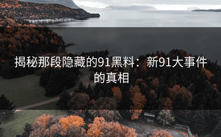 揭秘那段隐藏的91黑料：新91大事件的真相