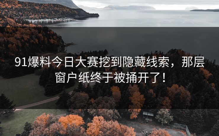91爆料今日大赛挖到隐藏线索，那层窗户纸终于被捅开了！