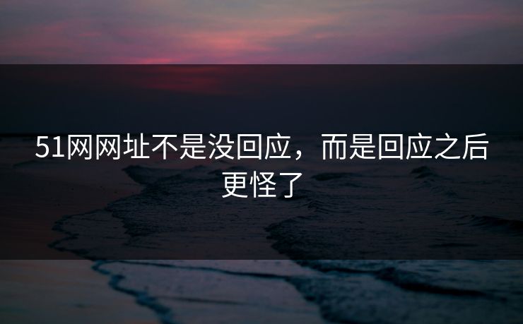 51网网址不是没回应，而是回应之后更怪了