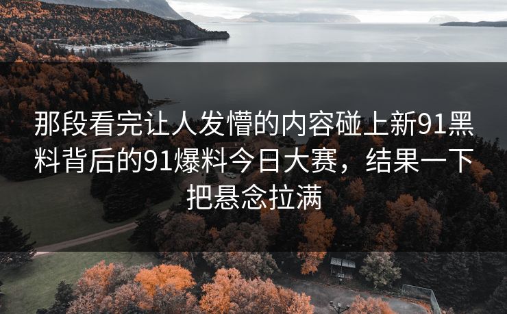 那段看完让人发懵的内容碰上新91黑料背后的91爆料今日大赛，结果一下把悬念拉满